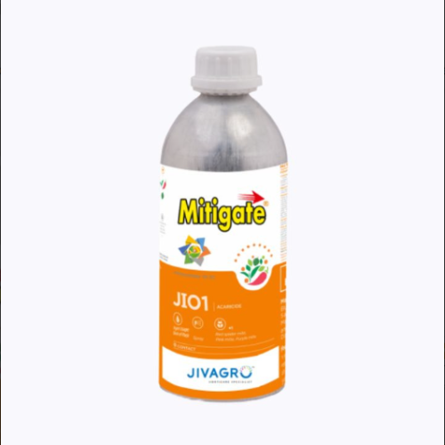 Shop Item1