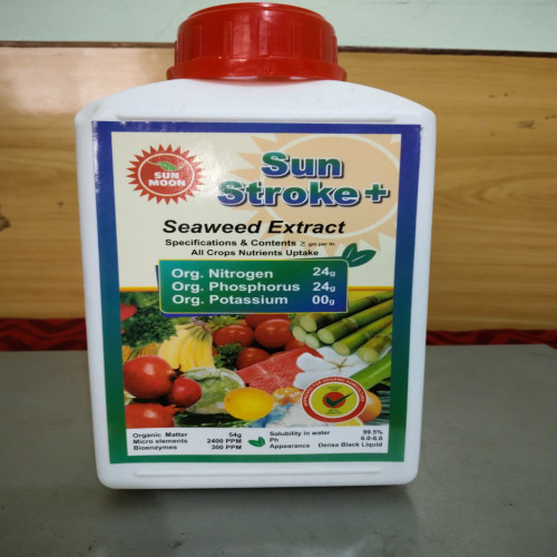 Shop Item1