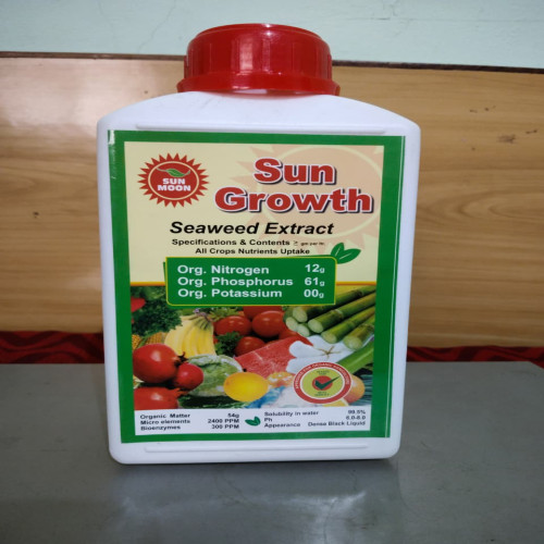 Shop Item1