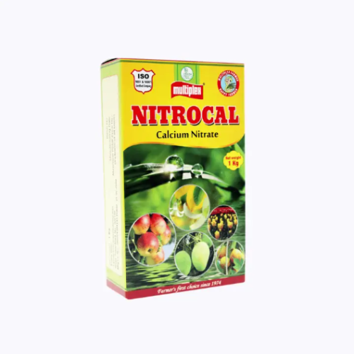 Shop Item1