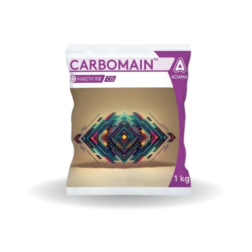 Shop Item1