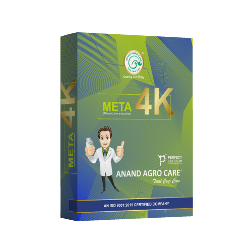 Shop Item1