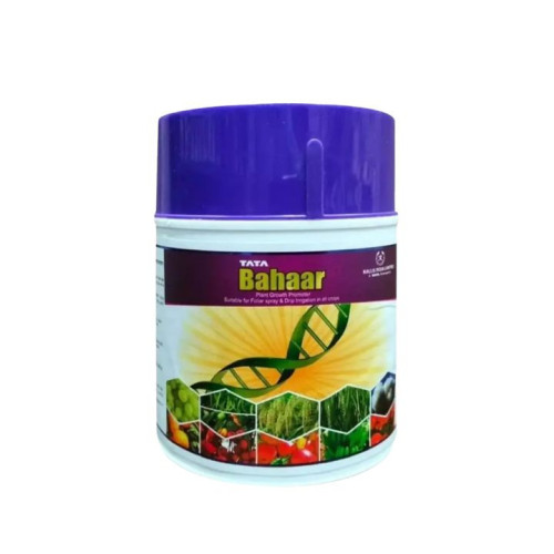 Shop Item1