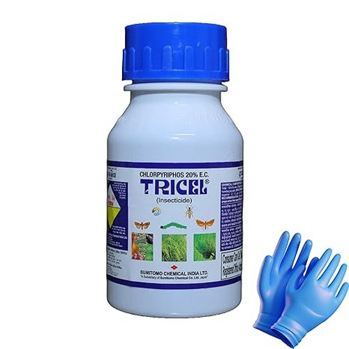 Shop Item1