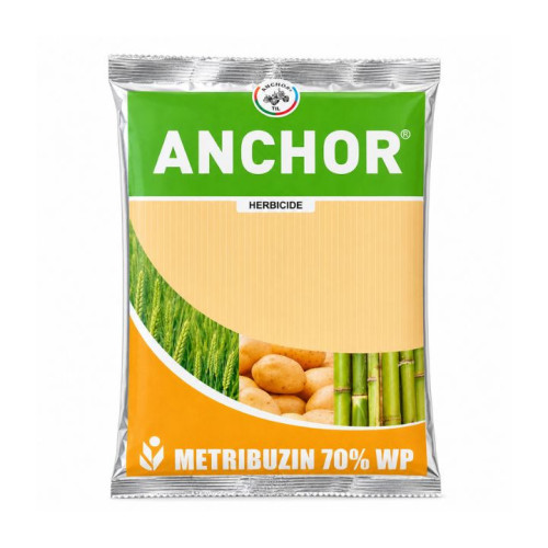 Shop Item1