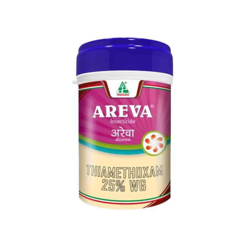 Shop Item1