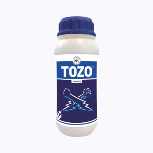 Shop Item1