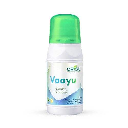 Shop Item1