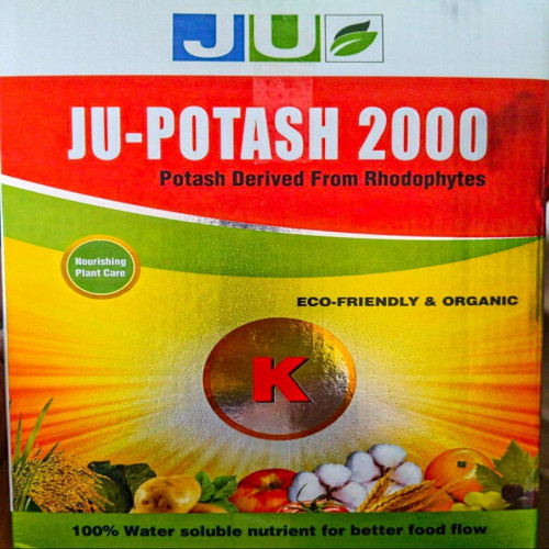 Shop Item1