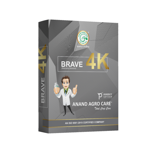 Shop Item1