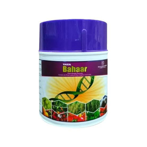 Shop Item1