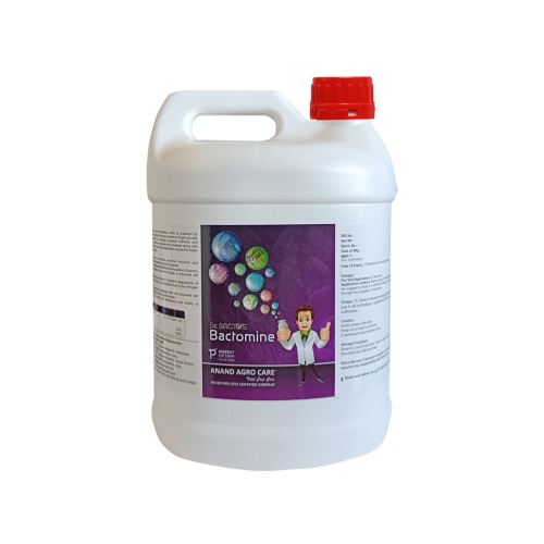 Shop Item1