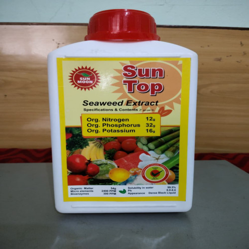 Shop Item1