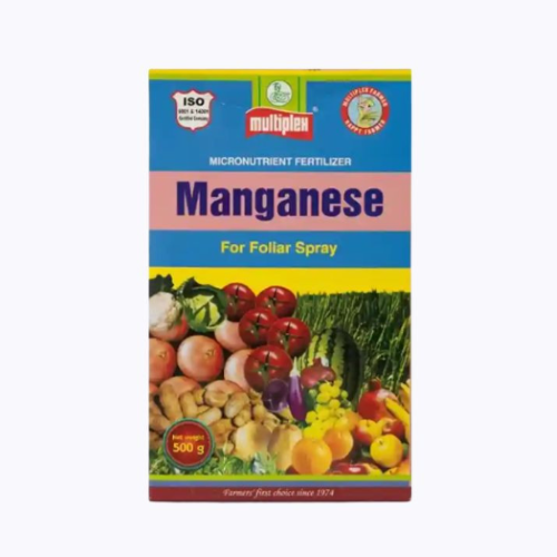 Shop Item1