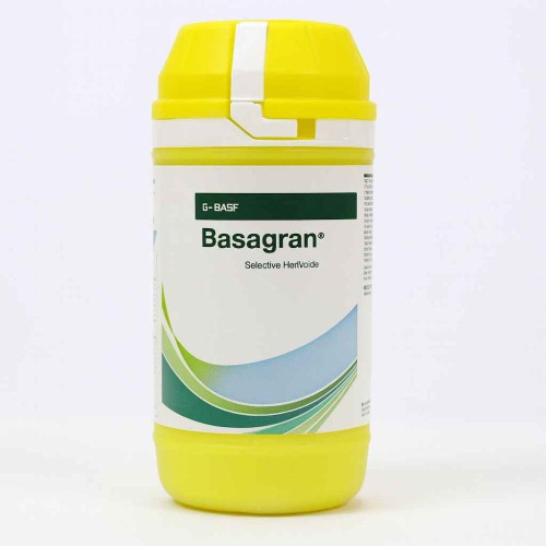 Shop Item1