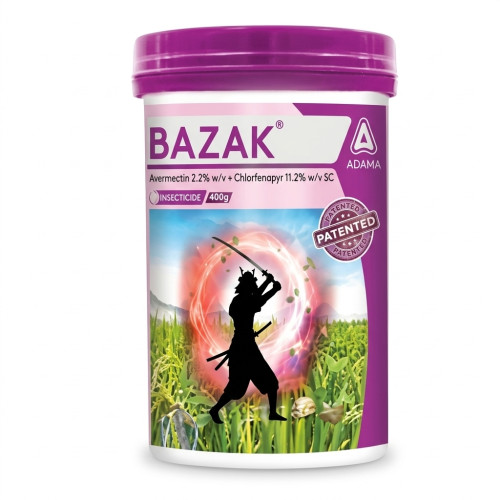 Shop Item1