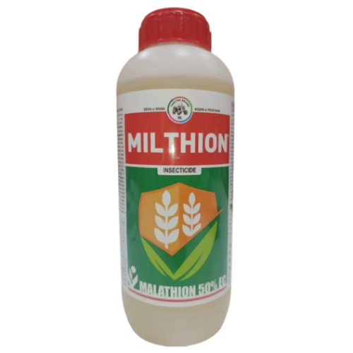 Shop Item1