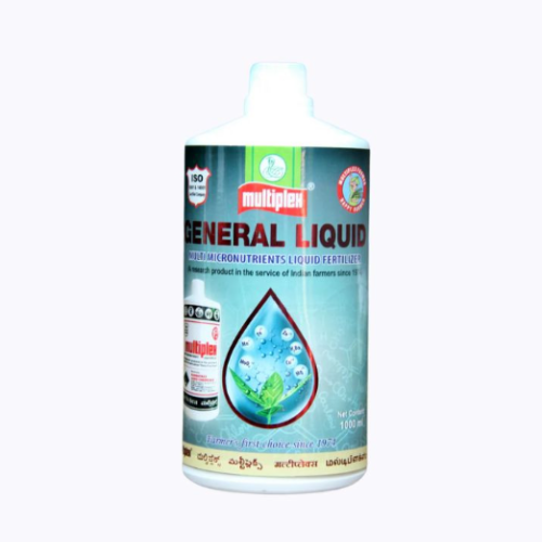 Shop Item1